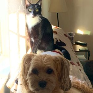 Meet your Posher, Lu